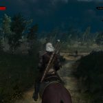 The Witcher 3 Wild Hunt