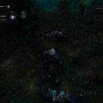 The Witcher 3 Wild Hunt