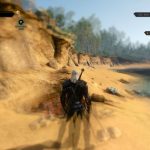 The Witcher 3 Wild Hunt