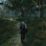 The Witcher 3 Wild Hunt