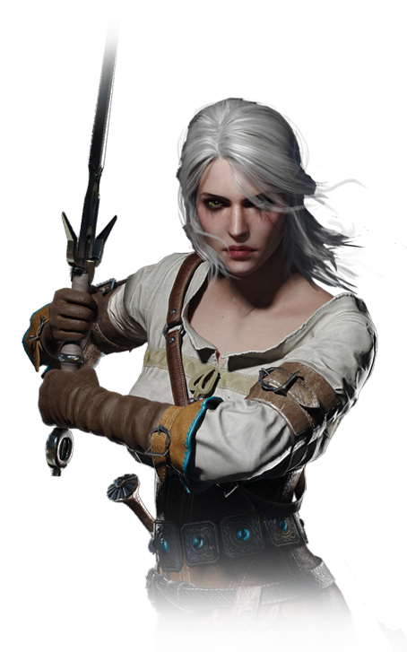 دانلود بازی The Witcher 3 Wild Hunt برای PC