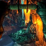 ARK Survival Evolved
