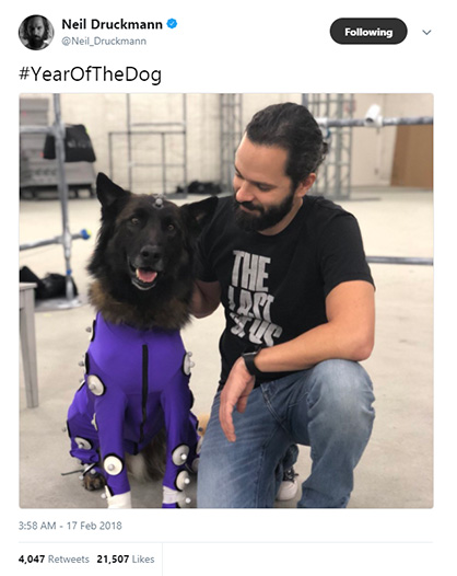 Year Of The Dog