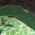Zoo Tycoon Ultimate Animal Collection