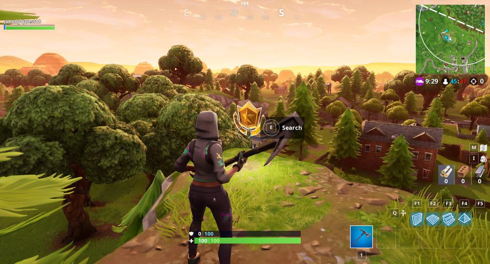 Fortnite