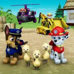 Paw Patrol On A Roll