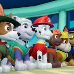 Paw Patrol On A Roll