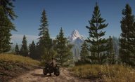 Days Gone