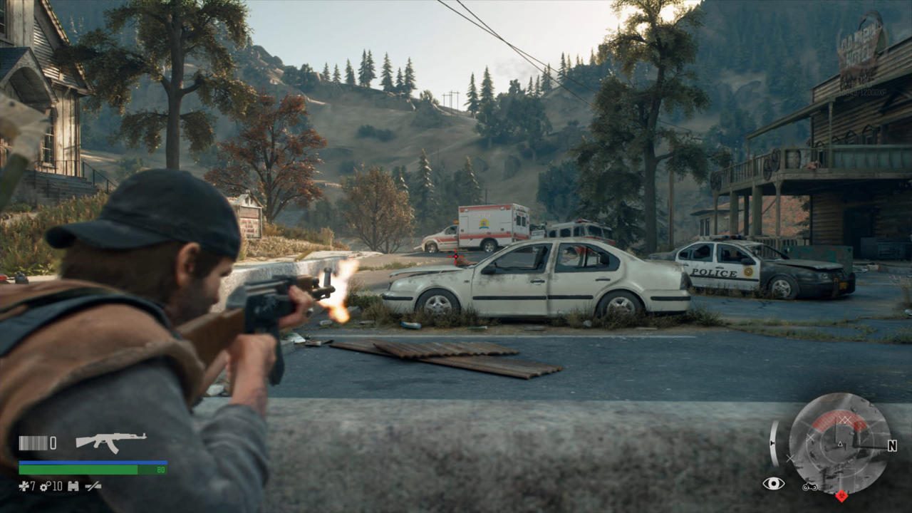 Days Gone