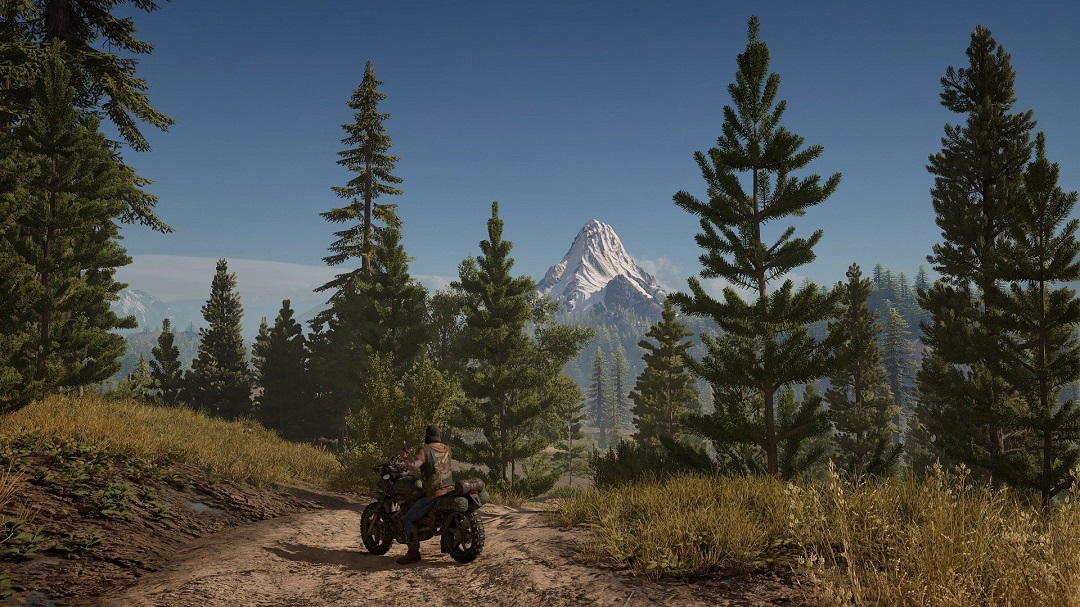 Days Gone