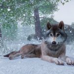 Planet Zoo