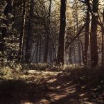 Blair Witch