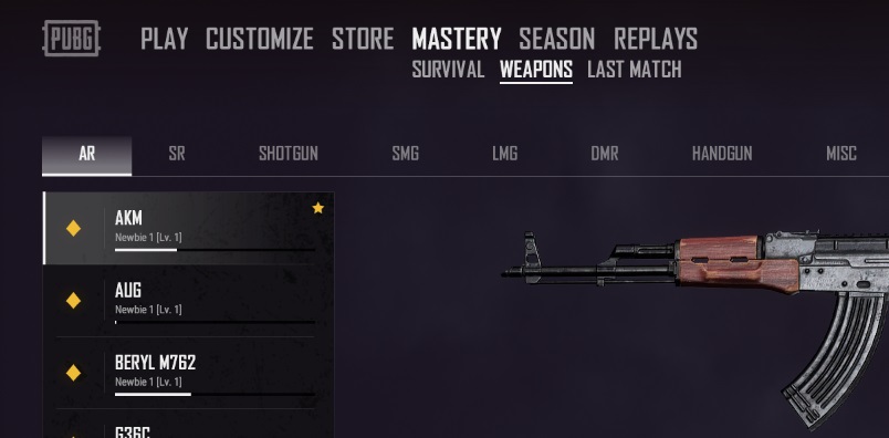 PUBG Update