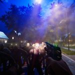 Dead Purge Outbreak