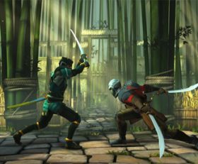 Shadow Fight 3