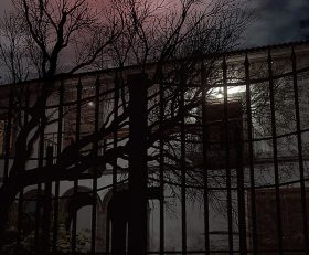 Dawn of Fear