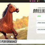 Rival Stars Horse Racing