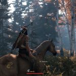 This Land Is My Land