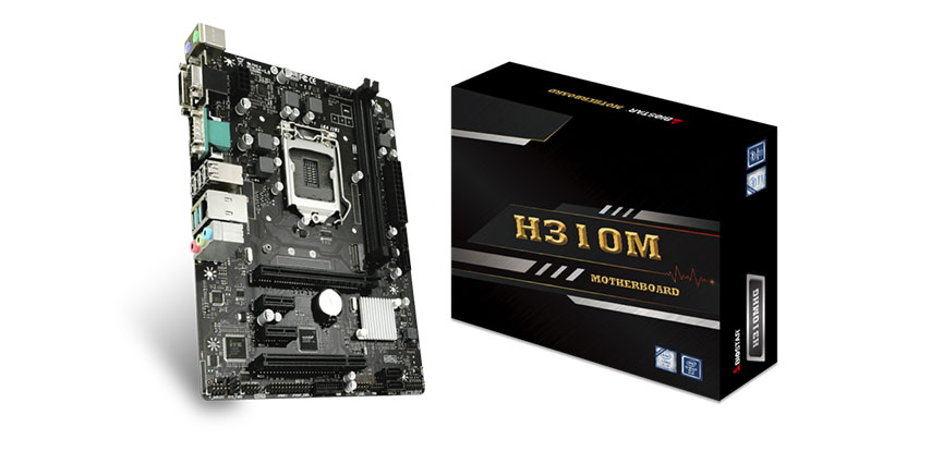 Biostar H310MHG Ver. 6.x