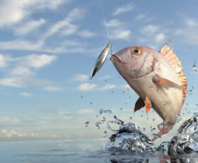 Monster Fishing 2020