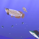 2048 Fishing