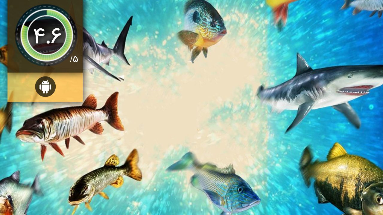 Fishing Clash
