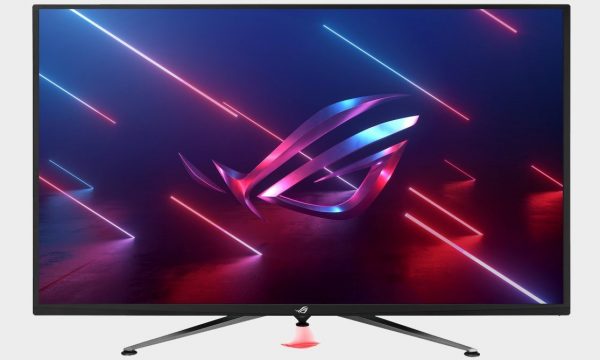 asus monitor