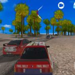 Final Rally