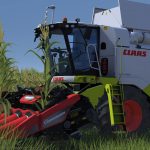 Professional Farmer Cattle and Crops