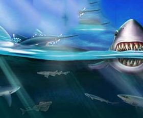 Shark World