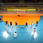 Handball 21