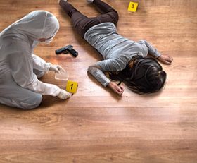Homicide Squad: New York Cases