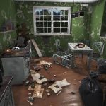 House Flipper