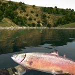 Ultimate Fishing Simulator