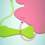 Paper.io 2