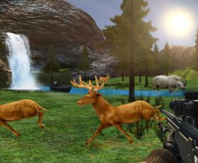 Wilderness Hunting