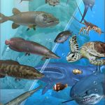 Fishing Season