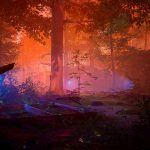 The Fabled Woods