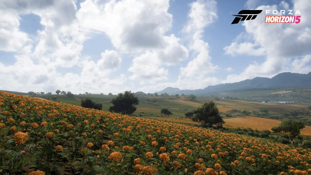 Forza Farm