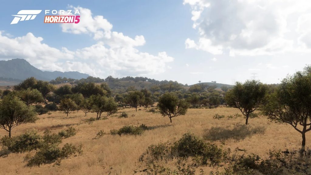 Forza Horizon 5 Hills