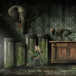 Lucid Dream Adventure