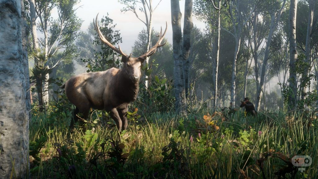 جالب ترین مراحل مخفی بازی Red Dead Redemption 2
