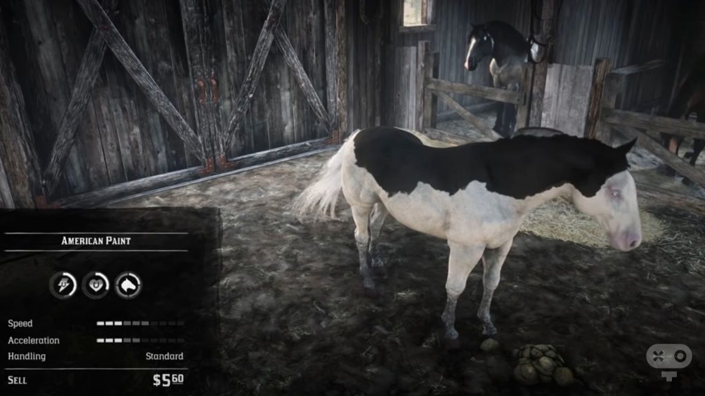 اسب در بازی RDR2
