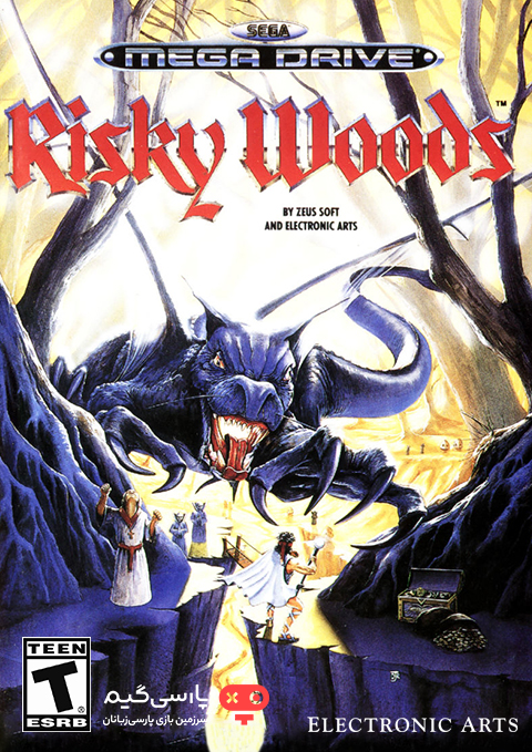 دانلود بازی Risky Woods برای PC