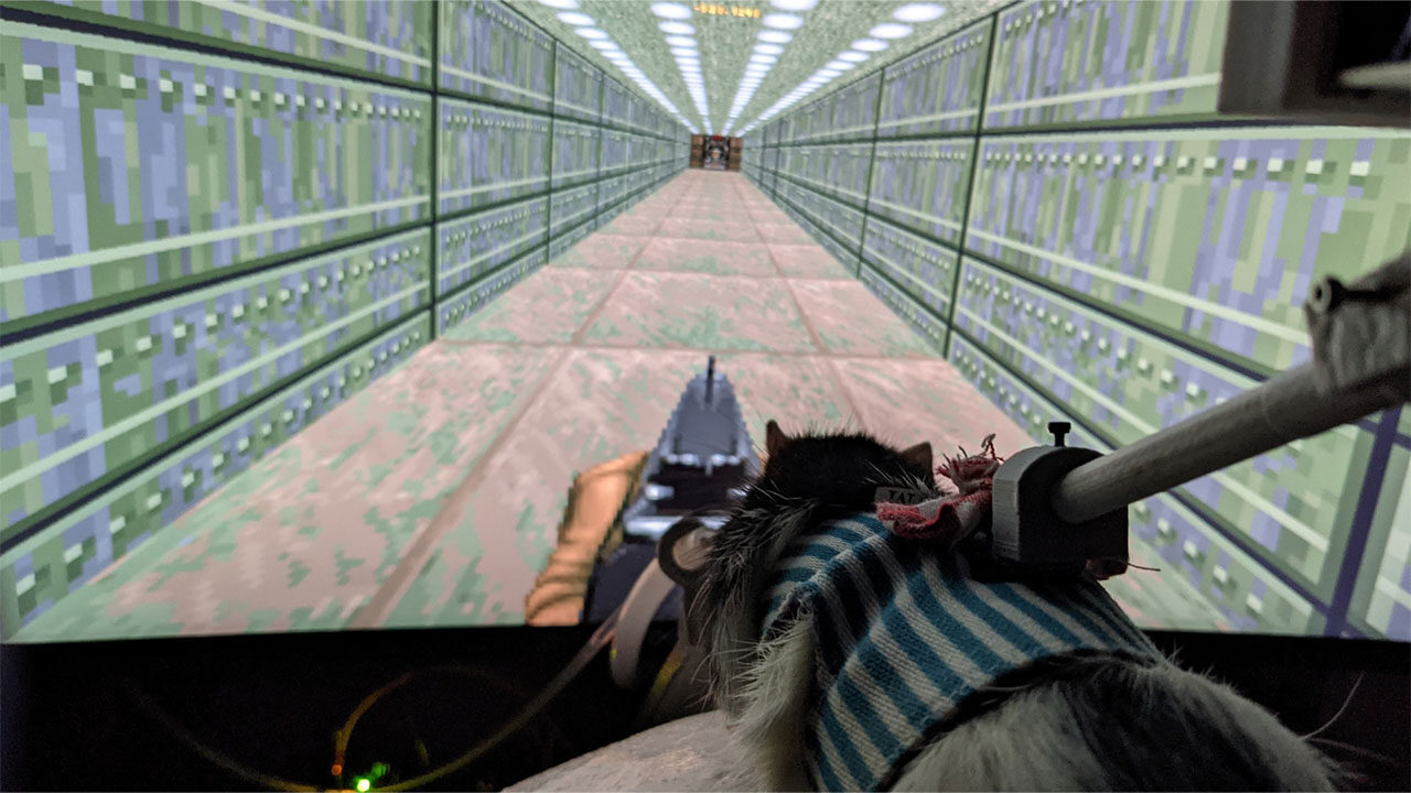 تجربه بازی Doom توسط موش‌ها