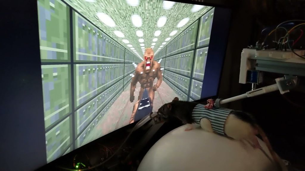 تجربه بازی Doom توسط موشها