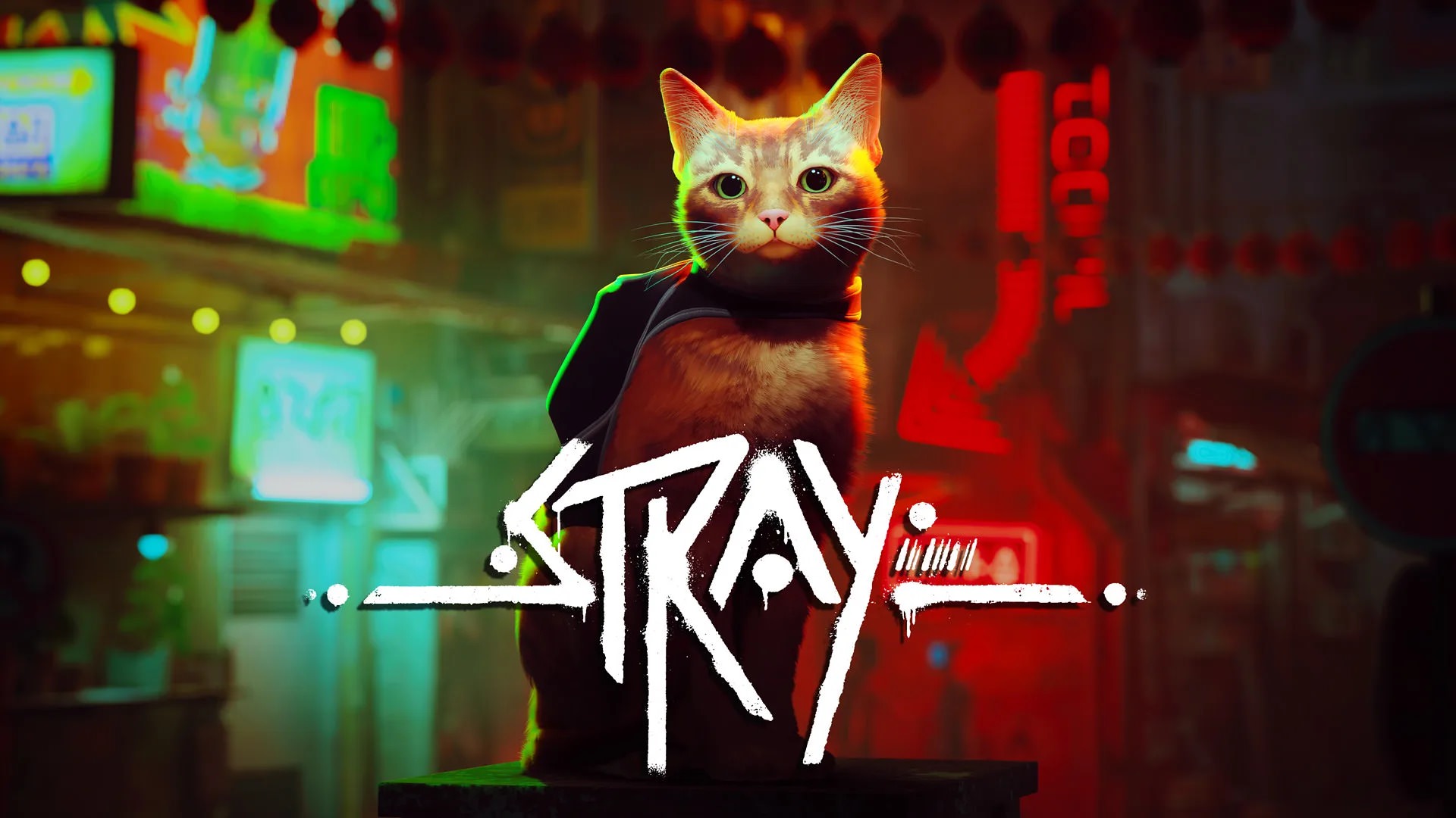 Stray پلی استیشن پلاس سری Assassin's Creed