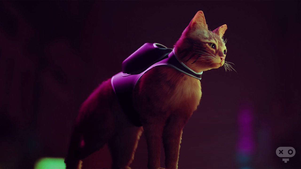 بازی Stray