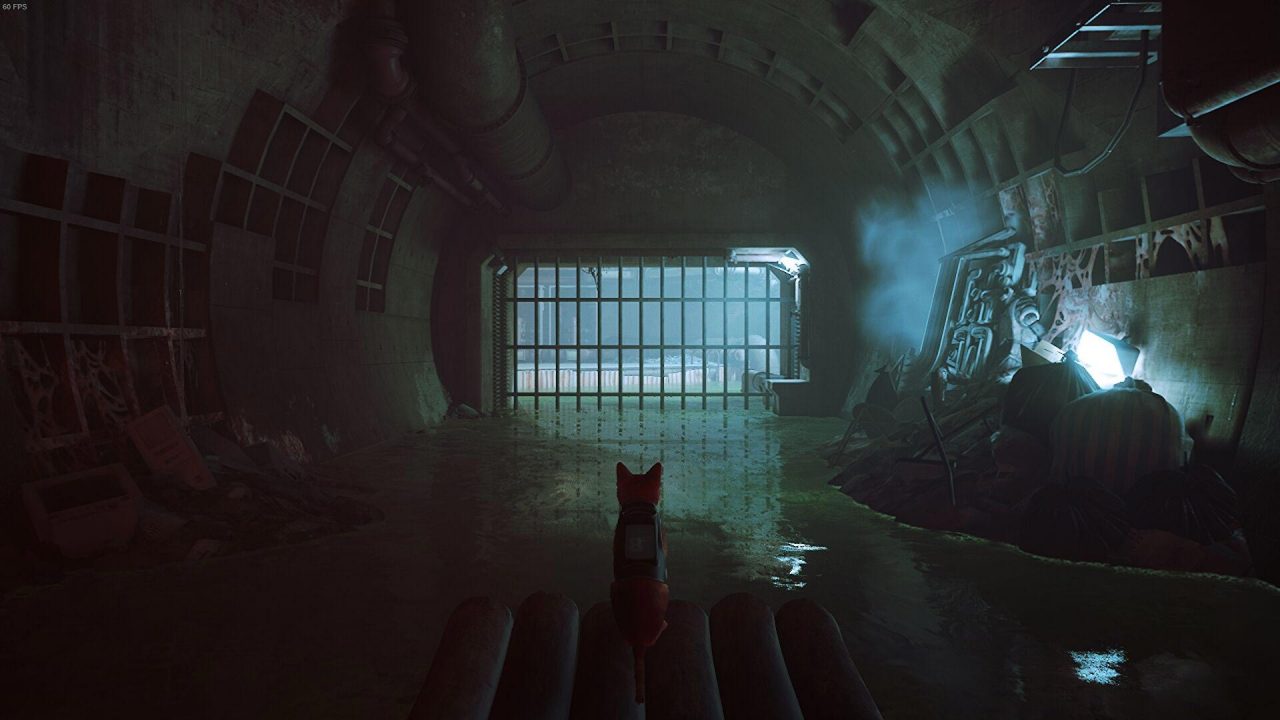 نقد بازی Stray