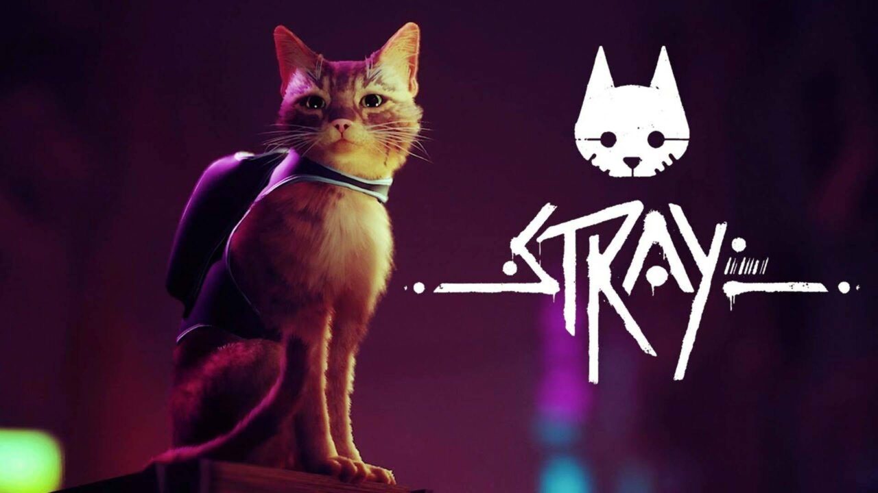 بازیکنان همزمان بازی Stray استری
